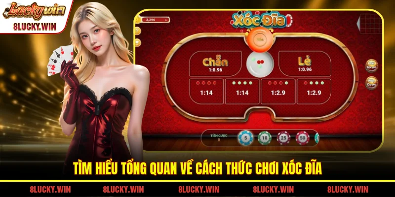 Tìm hiểu tổng quan về cách thức chơi xóc đĩa